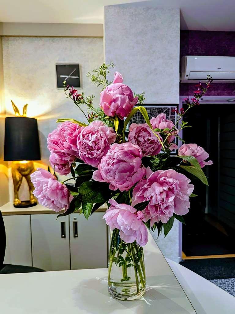 Hotel Arverna Vichy - Clt'Hotel Rum bild